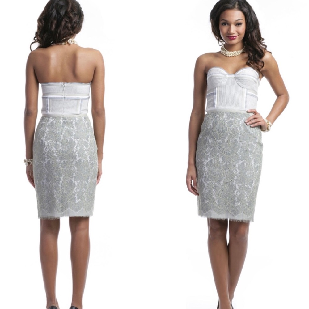 Proenza Schouler Laced Whispers Dress